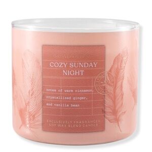 NWT Bath & Body Works Cozy Sunday Night Candle - Soft Pink